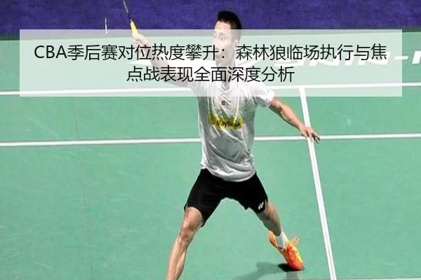 CBA季后赛对位热度攀升：森林狼临场执行与焦点战表现全面深度分析